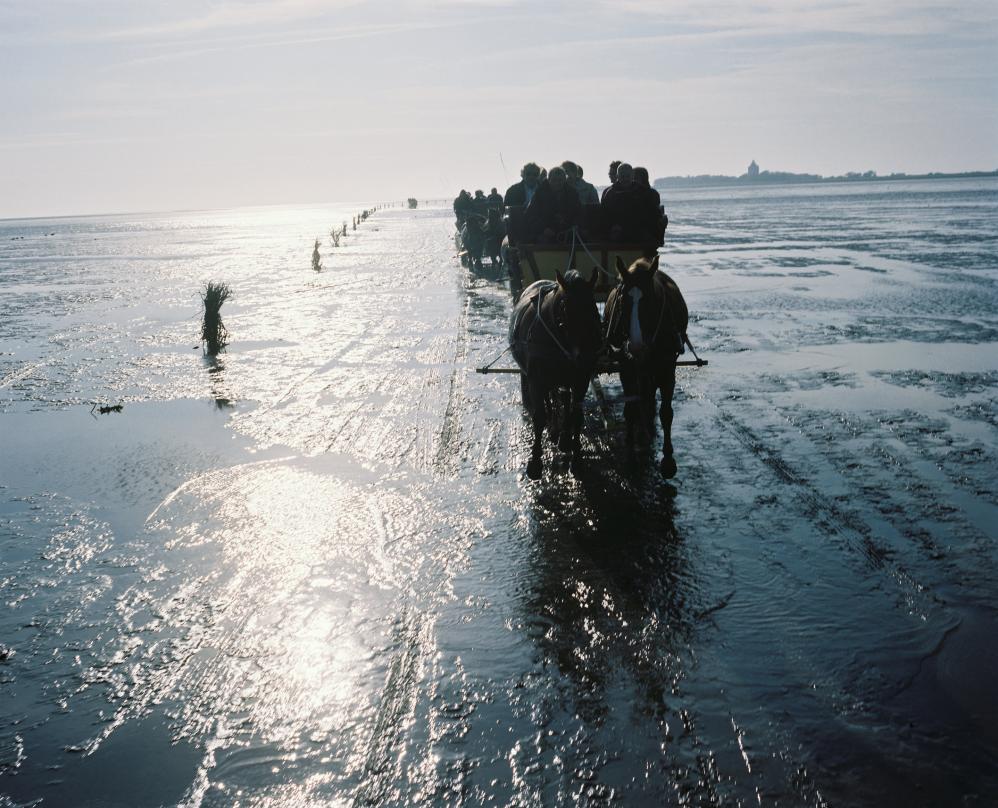 Olaf Scholz, Rückfahrt von Neuwerk über das Wattenmeer